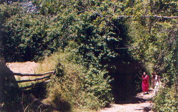 El Risco Del Lomero, Alberca 4 Huesp Max Valdelarco エクステリア 写真